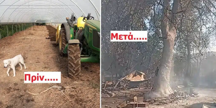 Για τη χώρα μας……….την περιοχή του Ευπαλίου…….του Μπάμπη!