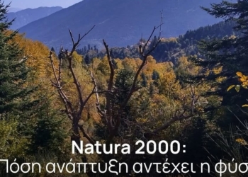 Τρία ερωτήματα προς τον Γιάννη Μπούγα για το Natura 2000 και τις αδειοδοτήσεις έργων ΑΠΕ