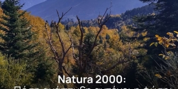 Τρία ερωτήματα προς τον Γιάννη Μπούγα για το Natura 2000 και τις αδειοδοτήσεις έργων ΑΠΕ