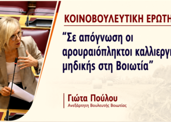 Βοιωτία: Σε απόγνωση οι καλλιεργητές μηδικής από την ανεξέλεγκτη εξάπλωση των τρωκτικών