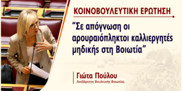 Βοιωτία: Σε απόγνωση οι καλλιεργητές μηδικής από την ανεξέλεγκτη εξάπλωση των τρωκτικών