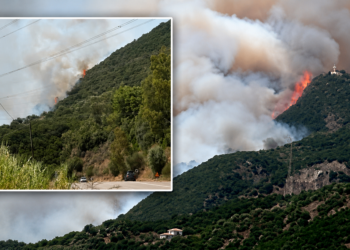 Συναγερμός στη Φωκίδα: Πυρκαγιά σε δασική έκταση στο Σκάλωμα