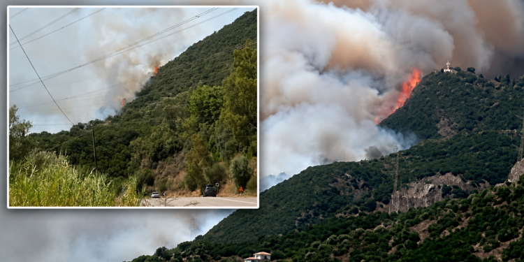 Συναγερμός στη Φωκίδα: Πυρκαγιά σε δασική έκταση στο Σκάλωμα