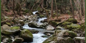 Υπερασπίζοντας τη φύση και το νερό στον Αθανάσιο Διάκο Φωκίδας