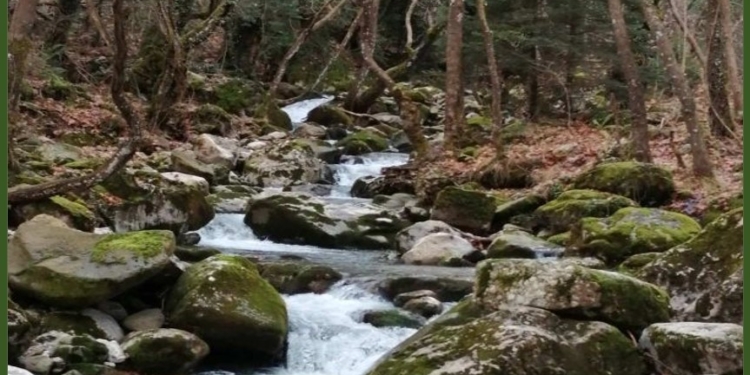 Υπερασπίζοντας τη φύση και το νερό στον Αθανάσιο Διάκο Φωκίδας